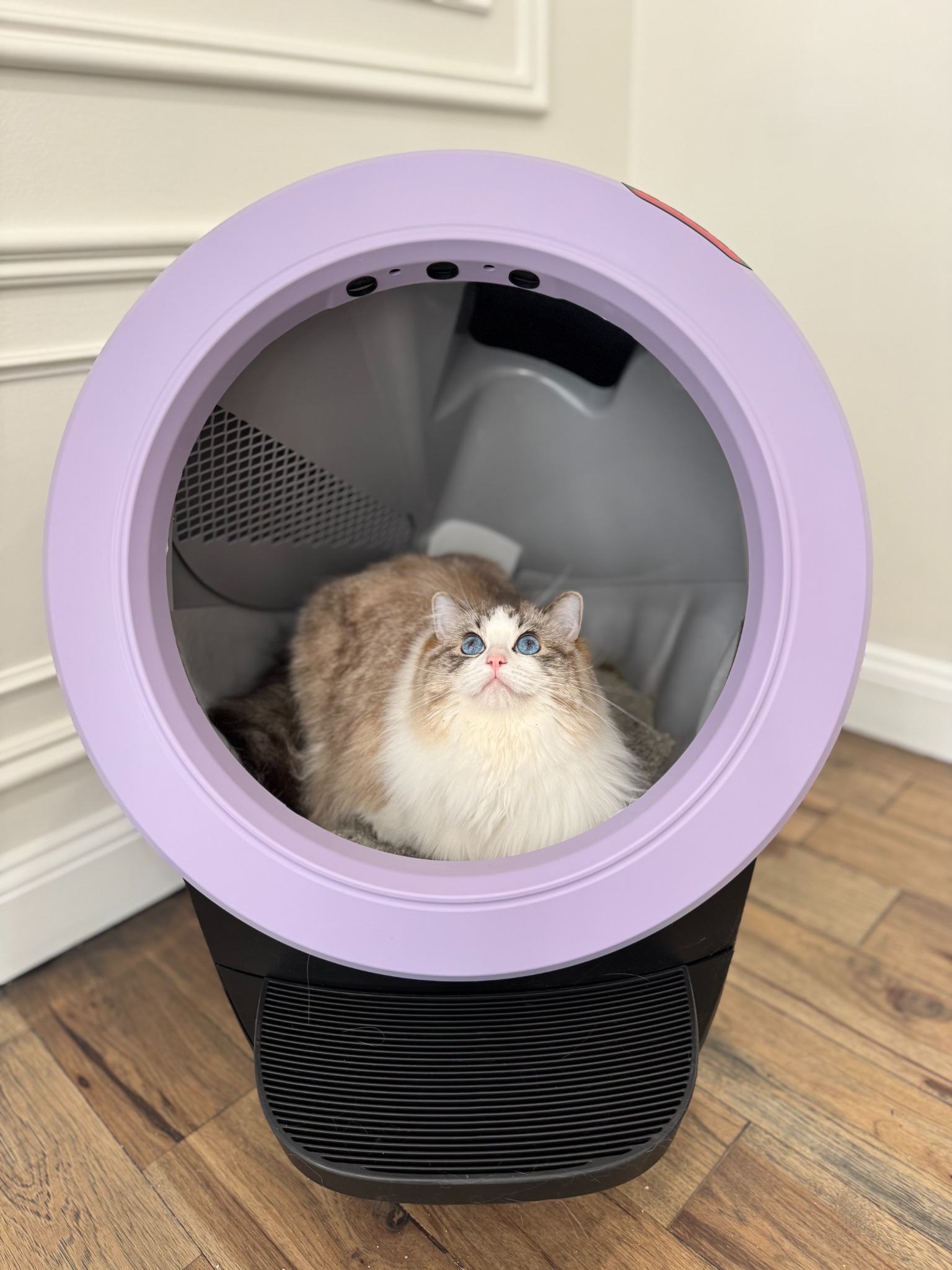Litter-Robot by Whisker Facebook ad