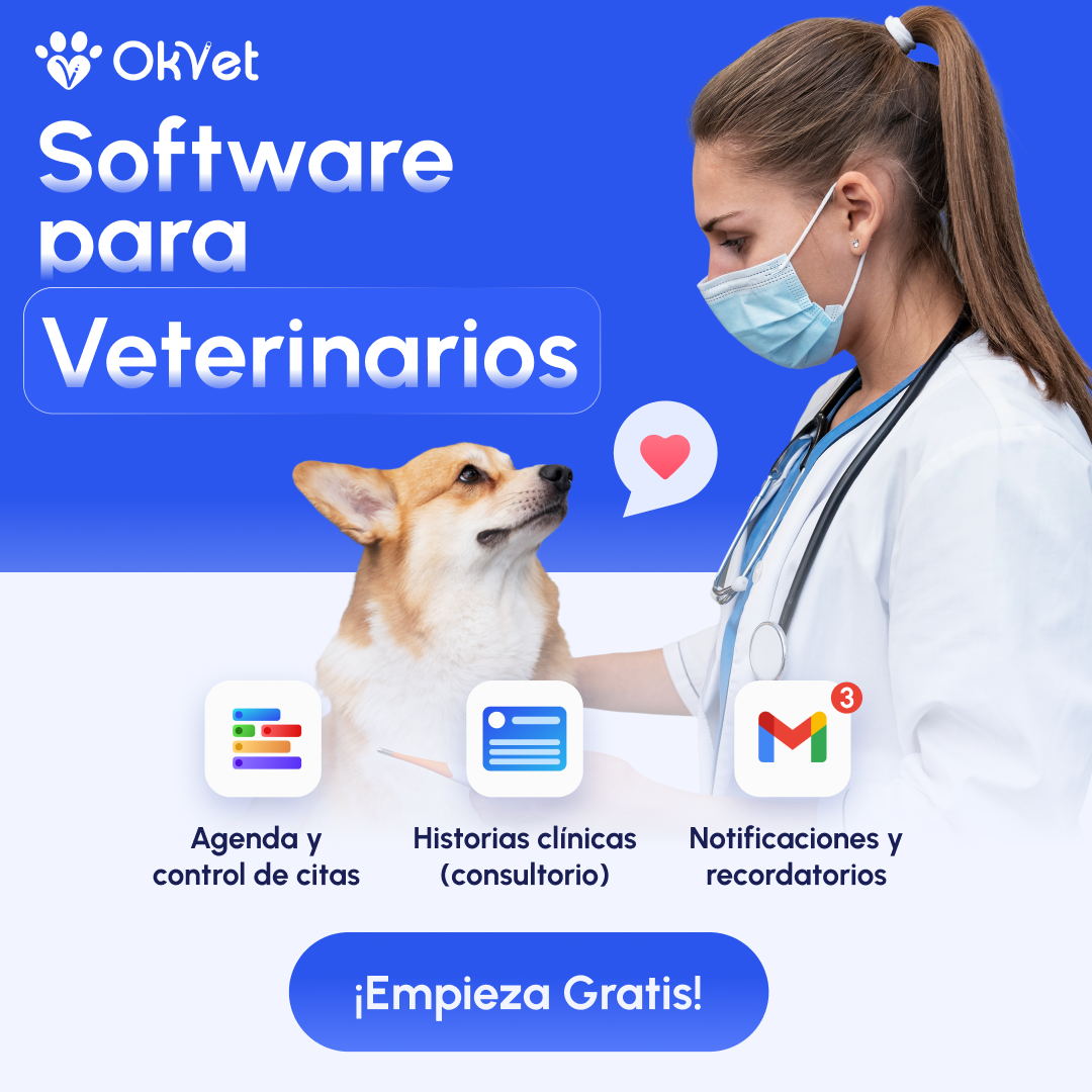 Okvet - Software Veterinario Facebook ad from Jun 2, 2026