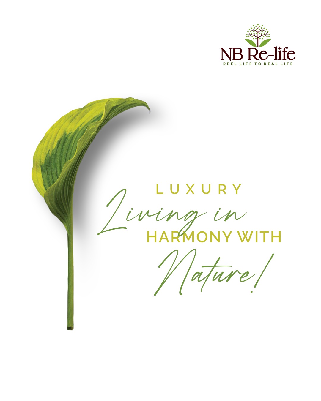 NB Developer Facebook ad: Your Dream Home Awaits at NB Re-life
