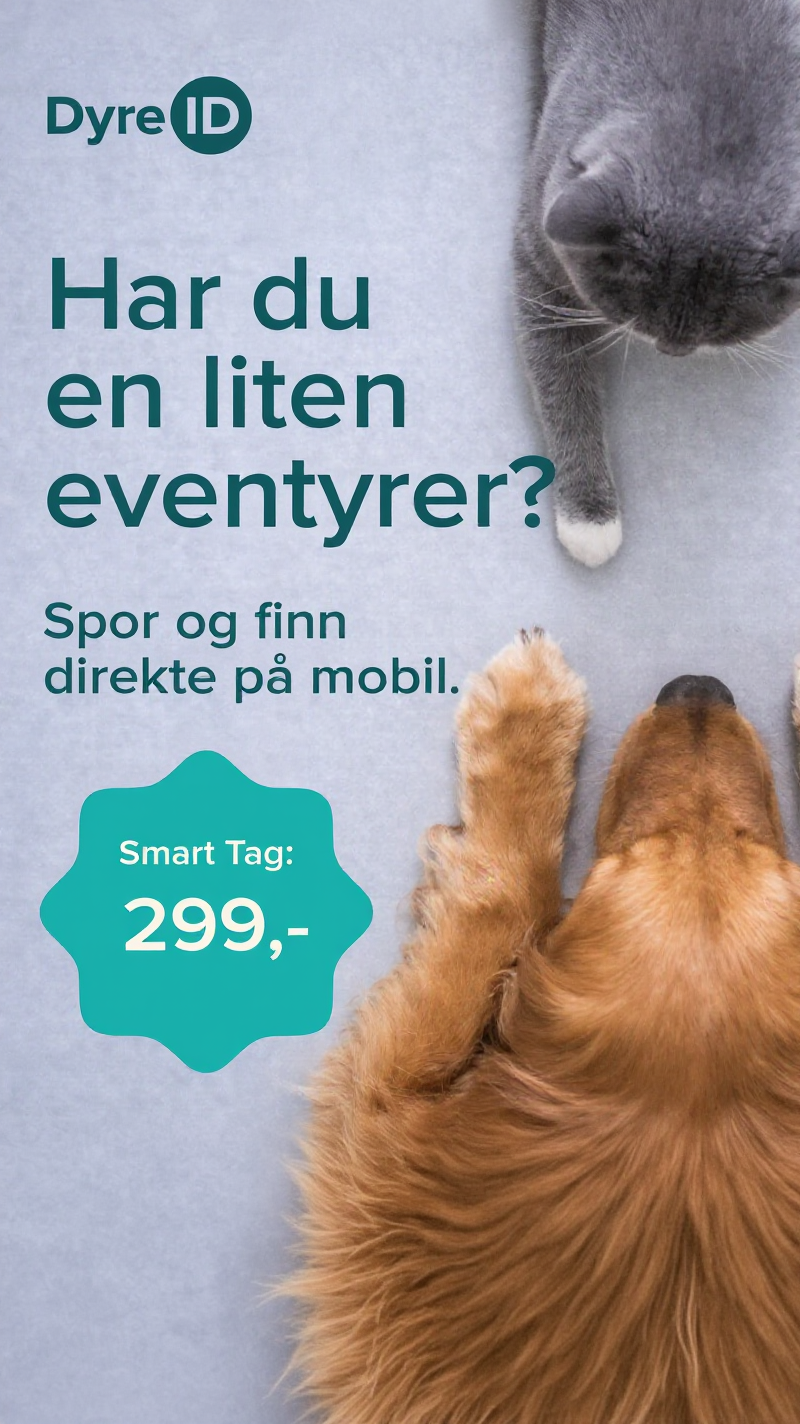 DyreID Facebook ad from Aug 15, 2026