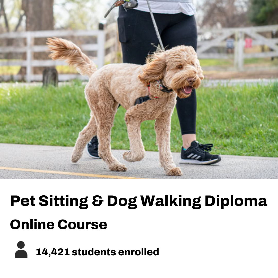New Skills Academy Facebook ad