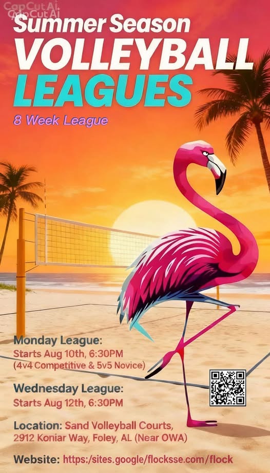 Flock Sports and Social Experience Facebook ad: Flock Summer Volleyball League