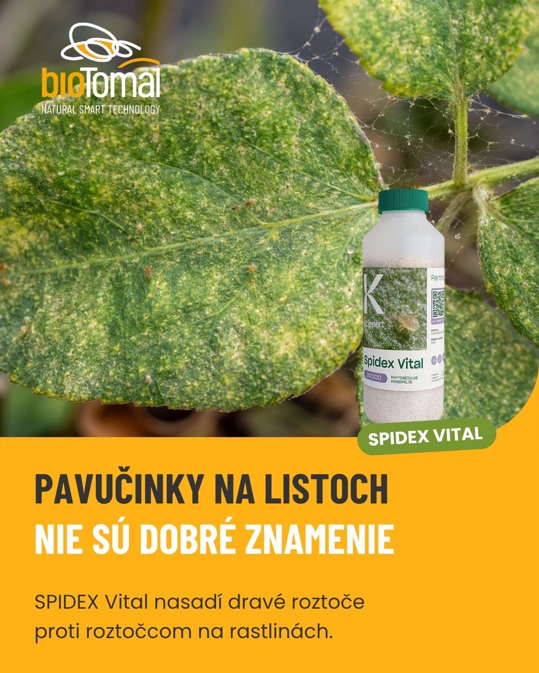 BioTomal SK Facebook ad: Vyblednuté listy a drobné pavučinky?