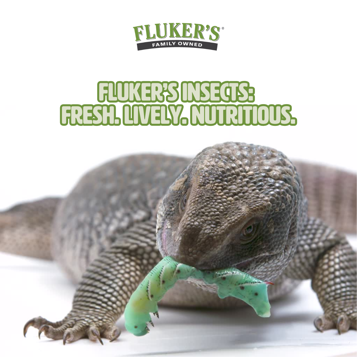 Fluker Farms Facebook ad
