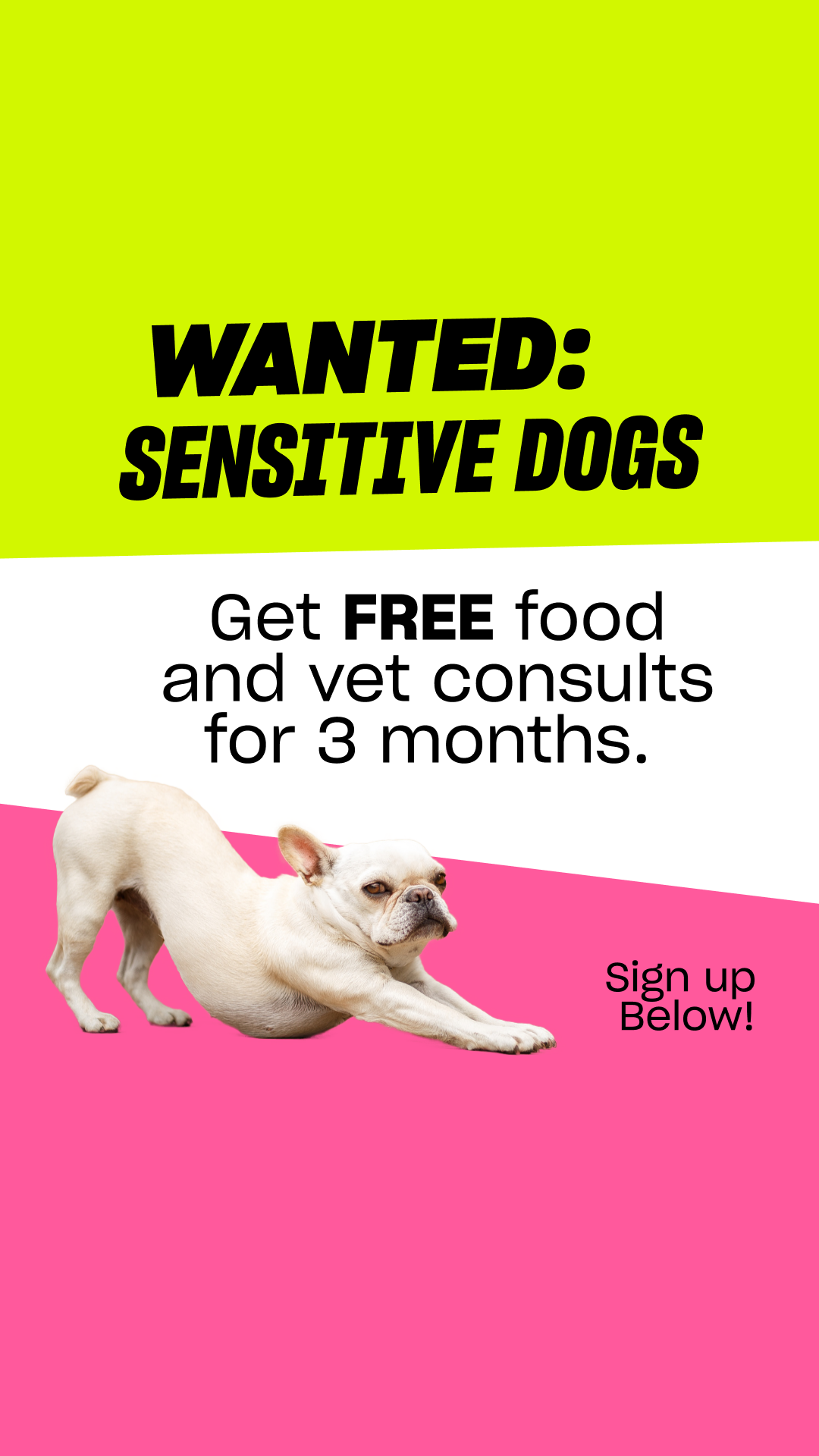 Grub Club Pets Facebook ad: WANTED