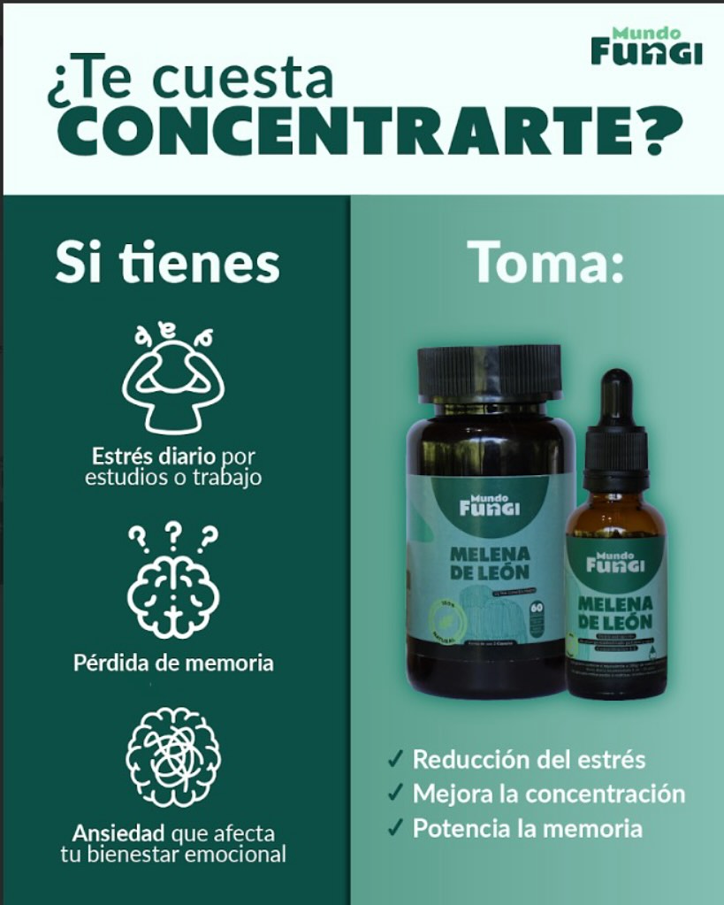 Mundo Fungi Facebook ad