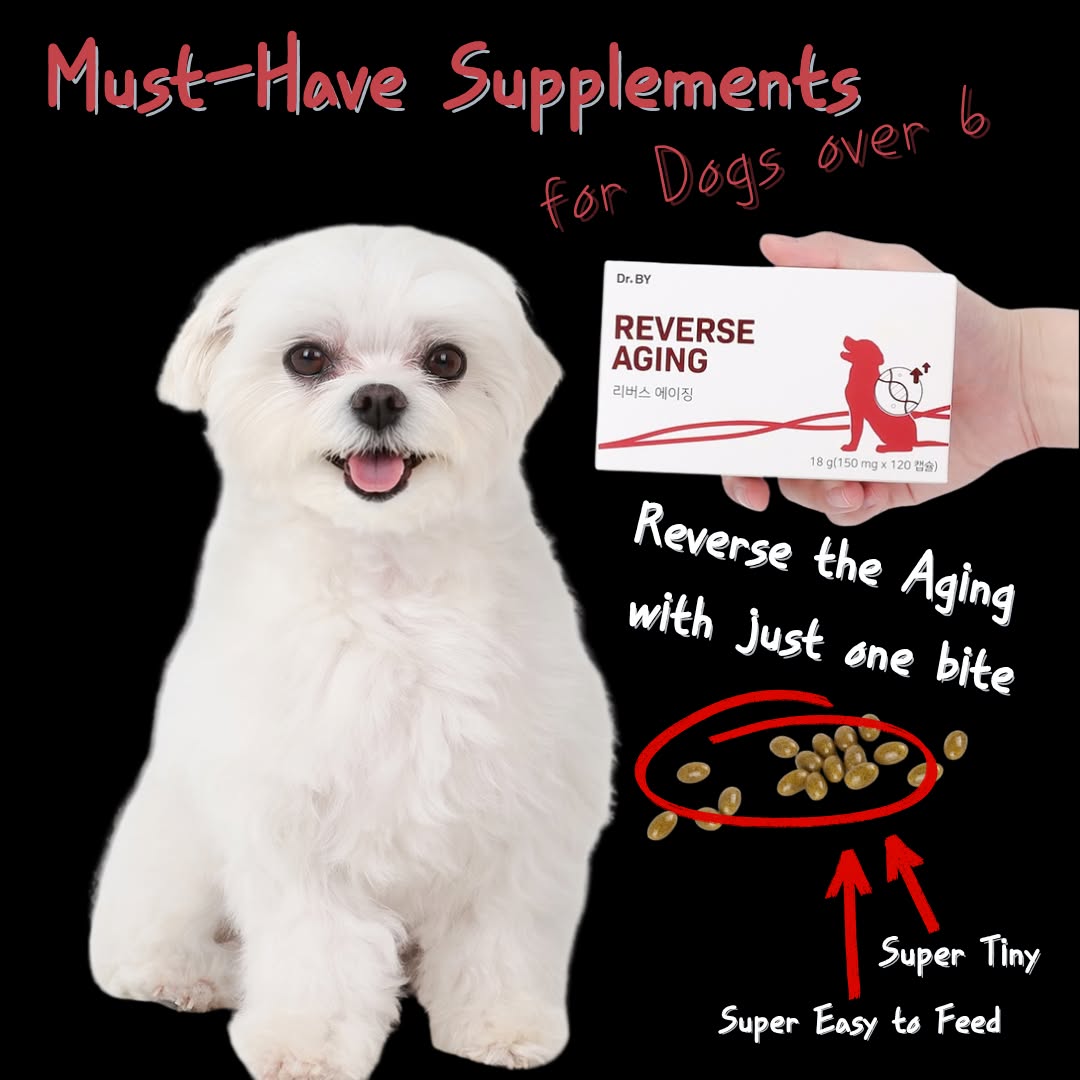 Dr.BY Facebook ad: Pet Health Supplements: DOCTOR BY