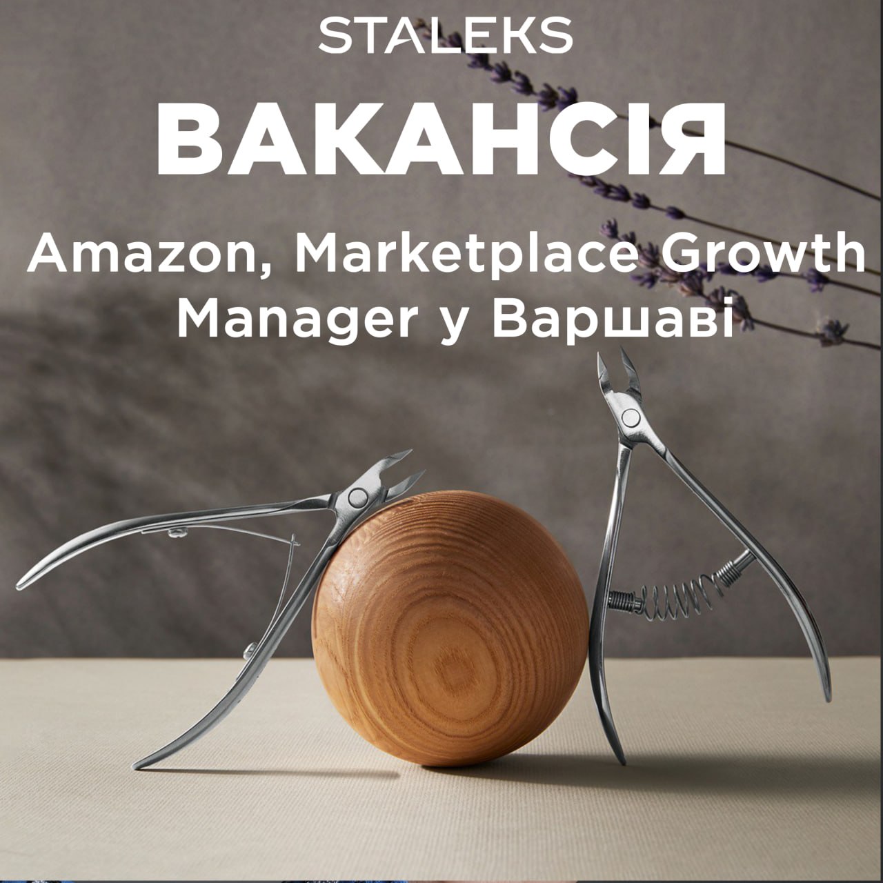 Staleks PRO Facebook ad