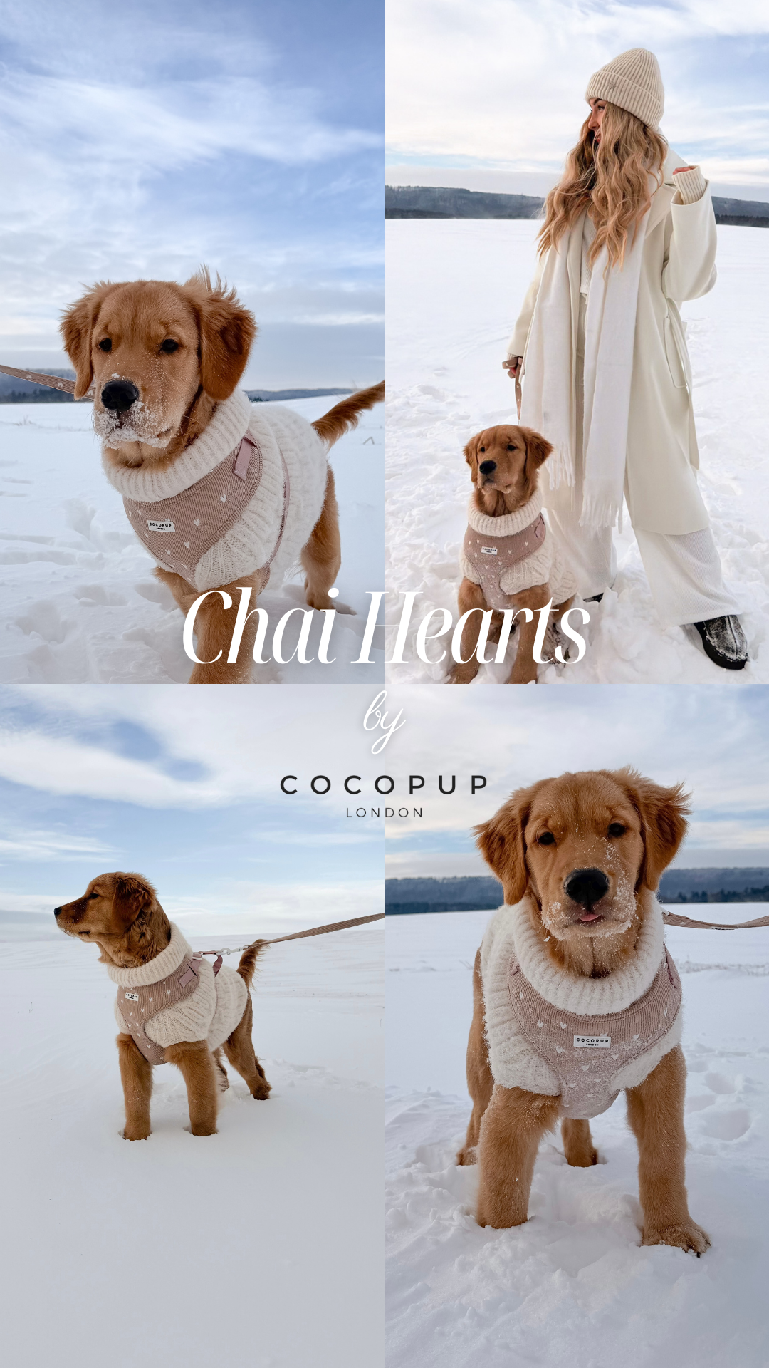 Cocopupuk Facebook ad