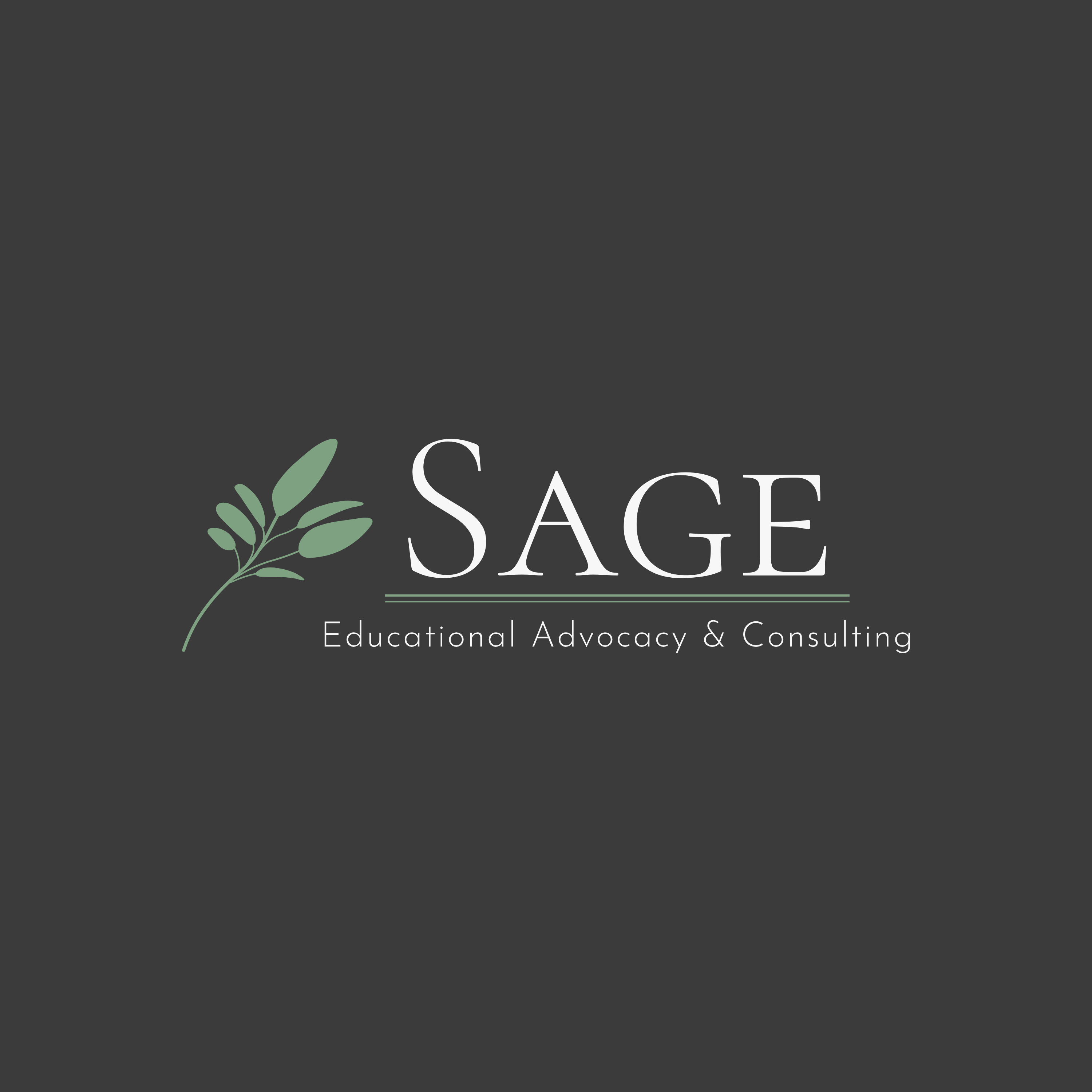 Sage Educational Advocacy & Consulting LLC Facebook ad: Every family’s journey through special education looks…