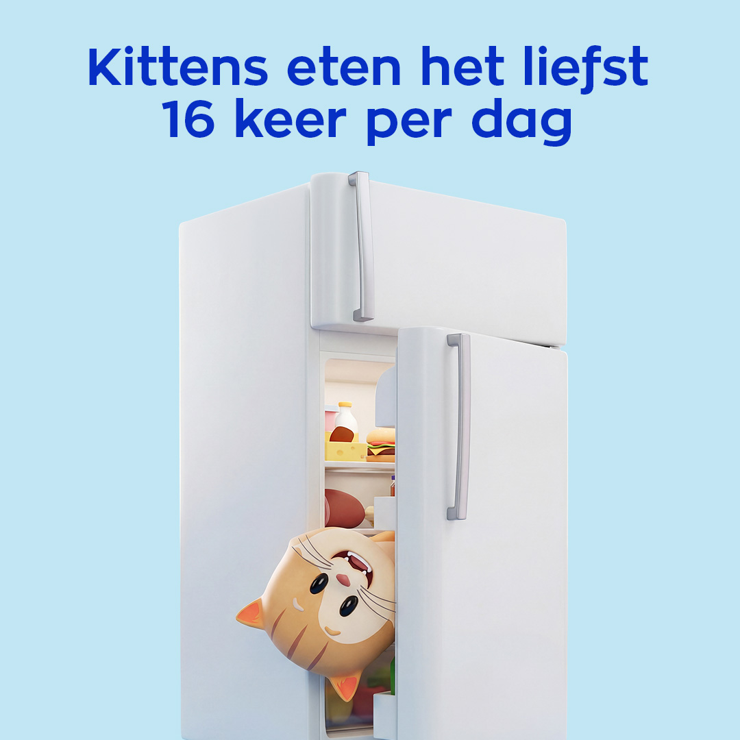OHRA Facebook ad: Hoeveel mag je kitten eten?