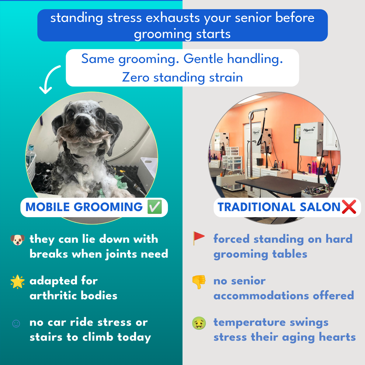 Pawradisego Mobile Grooming Facebook ad: Stress-Free Dog Grooming, Now at Your Doorstep
