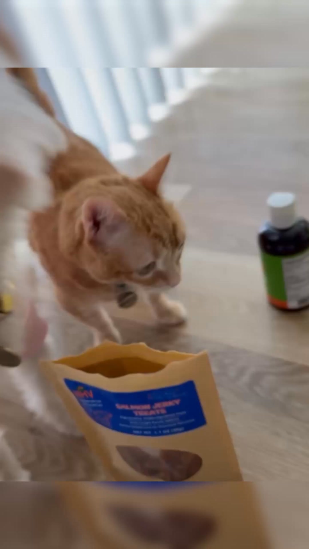 NHV Natural Pet Products Facebook ad from Jun 9, 2026