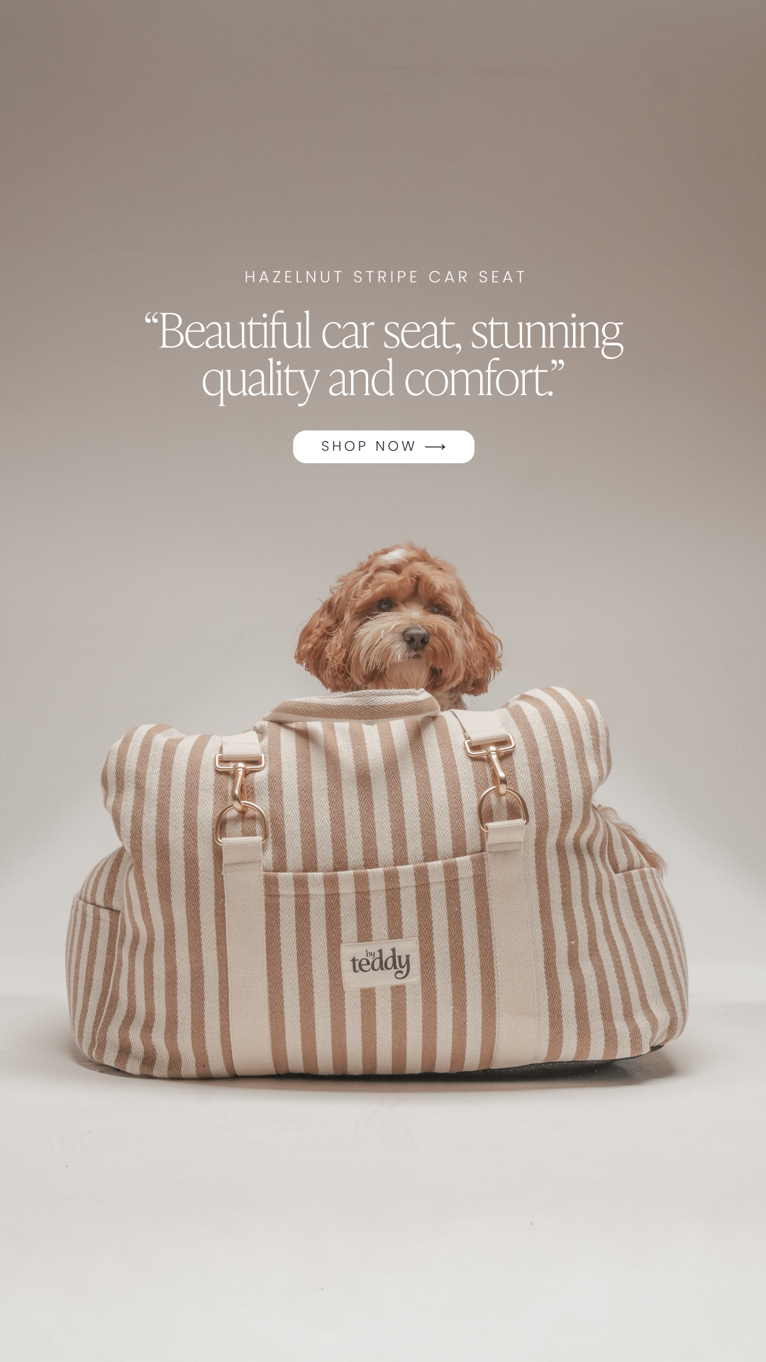 By Teddy Facebook ad