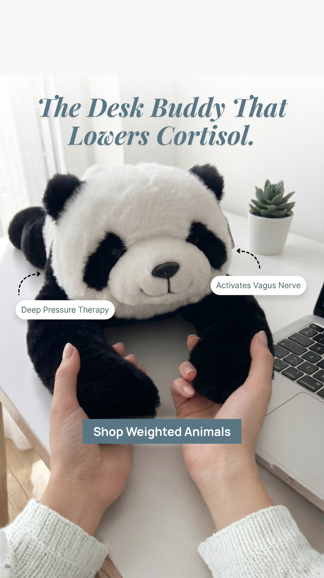 Pulse of Potential Facebook ad