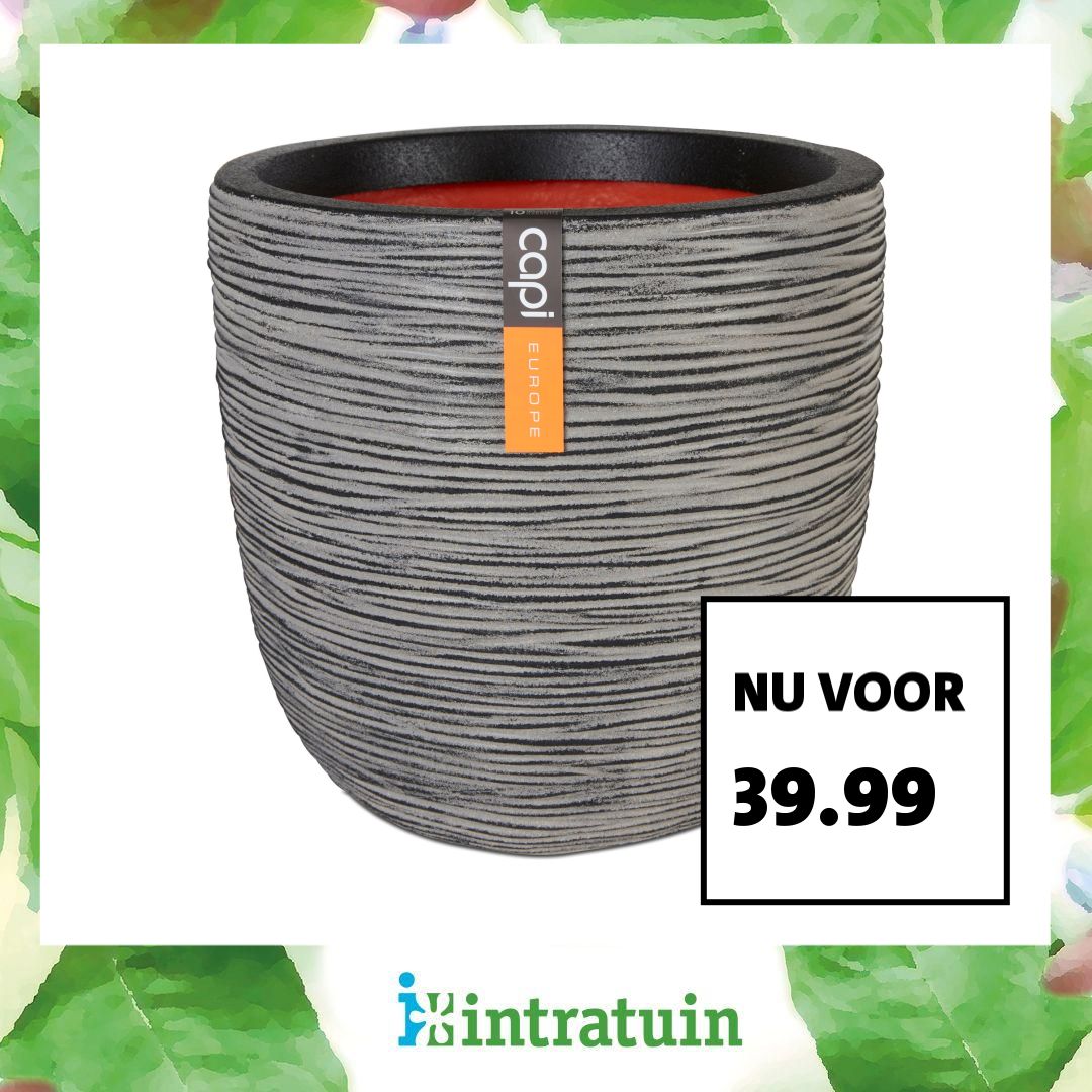 Intratuin Facebook ad
