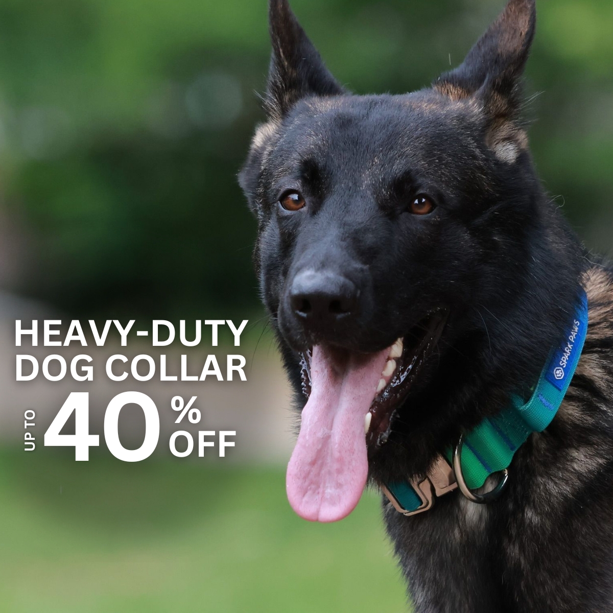 Spark Paws Facebook ad