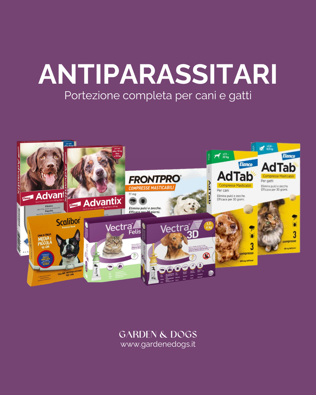 Garden & Dogs Facebook ad from Mar 6, 2026