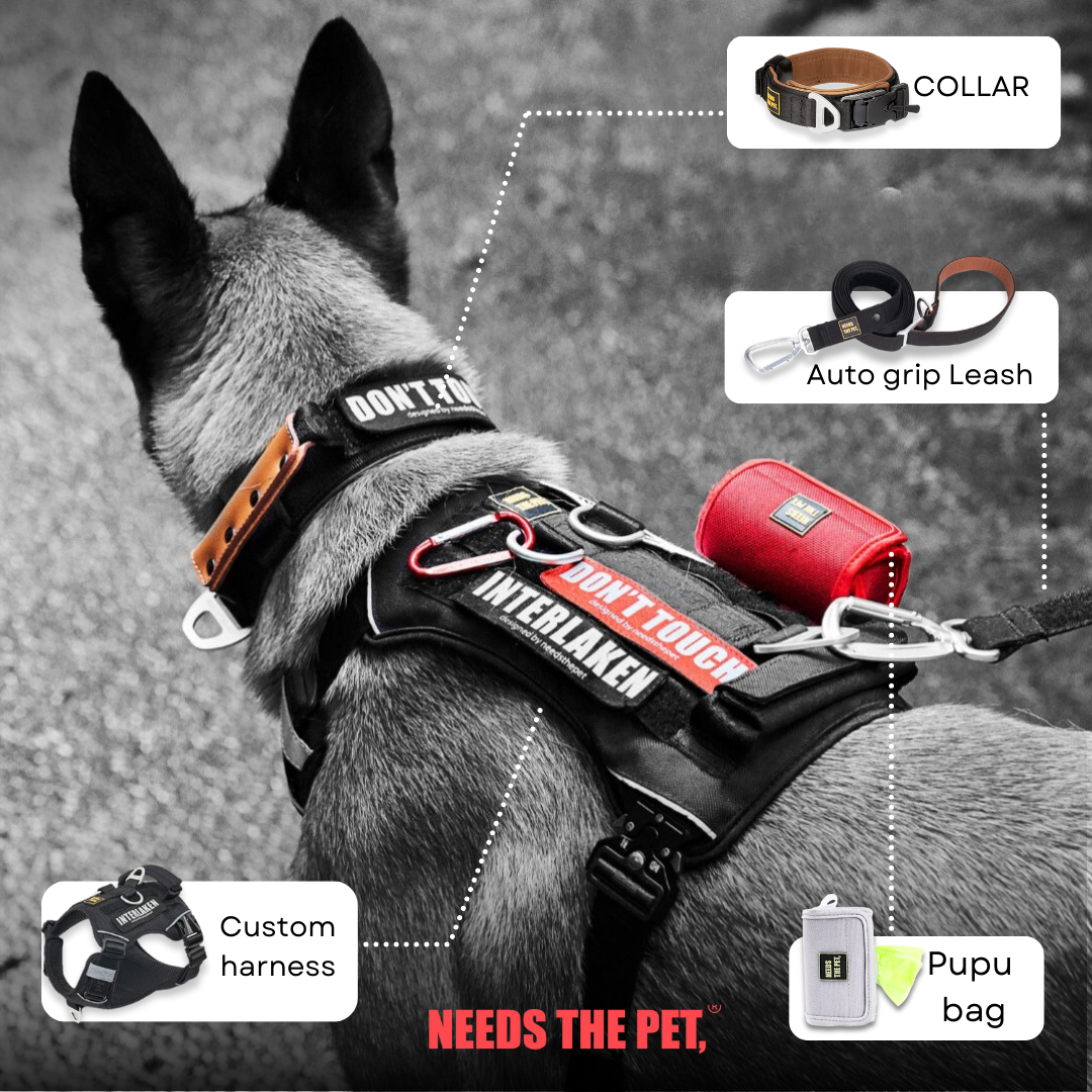 NTP Thailand นวัตกรรม Harness สายจูงสุนัขและแมว อันดับ 1 จากเกาหลี Facebook ad: Harness สไตล์ไหนที่ตรงใจคุณ