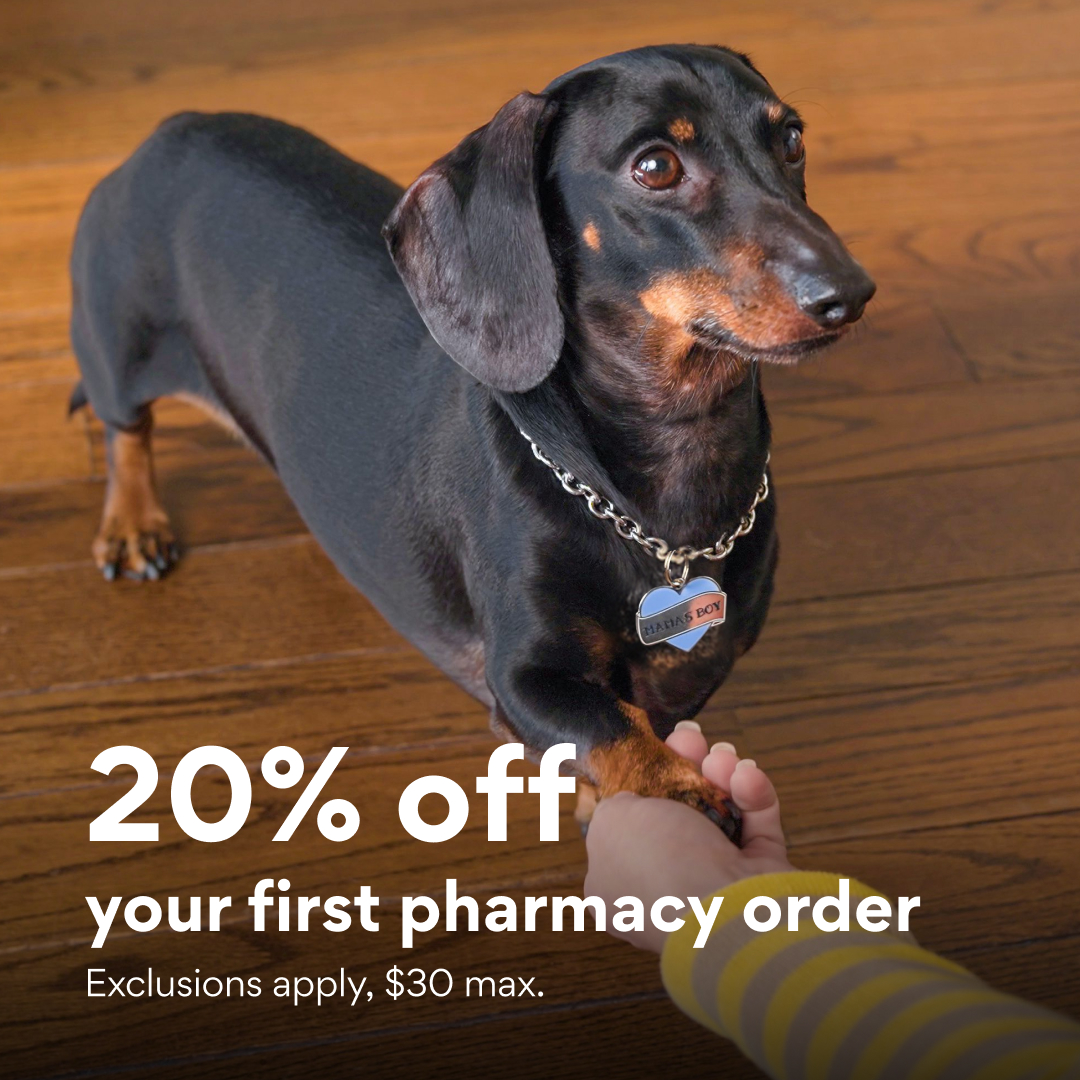 Chewy Facebook ad