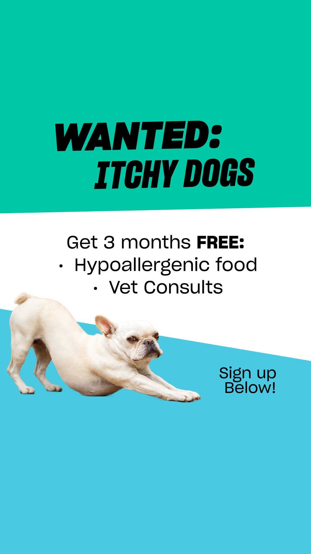 Grub Club Pets Facebook ad: WANTED