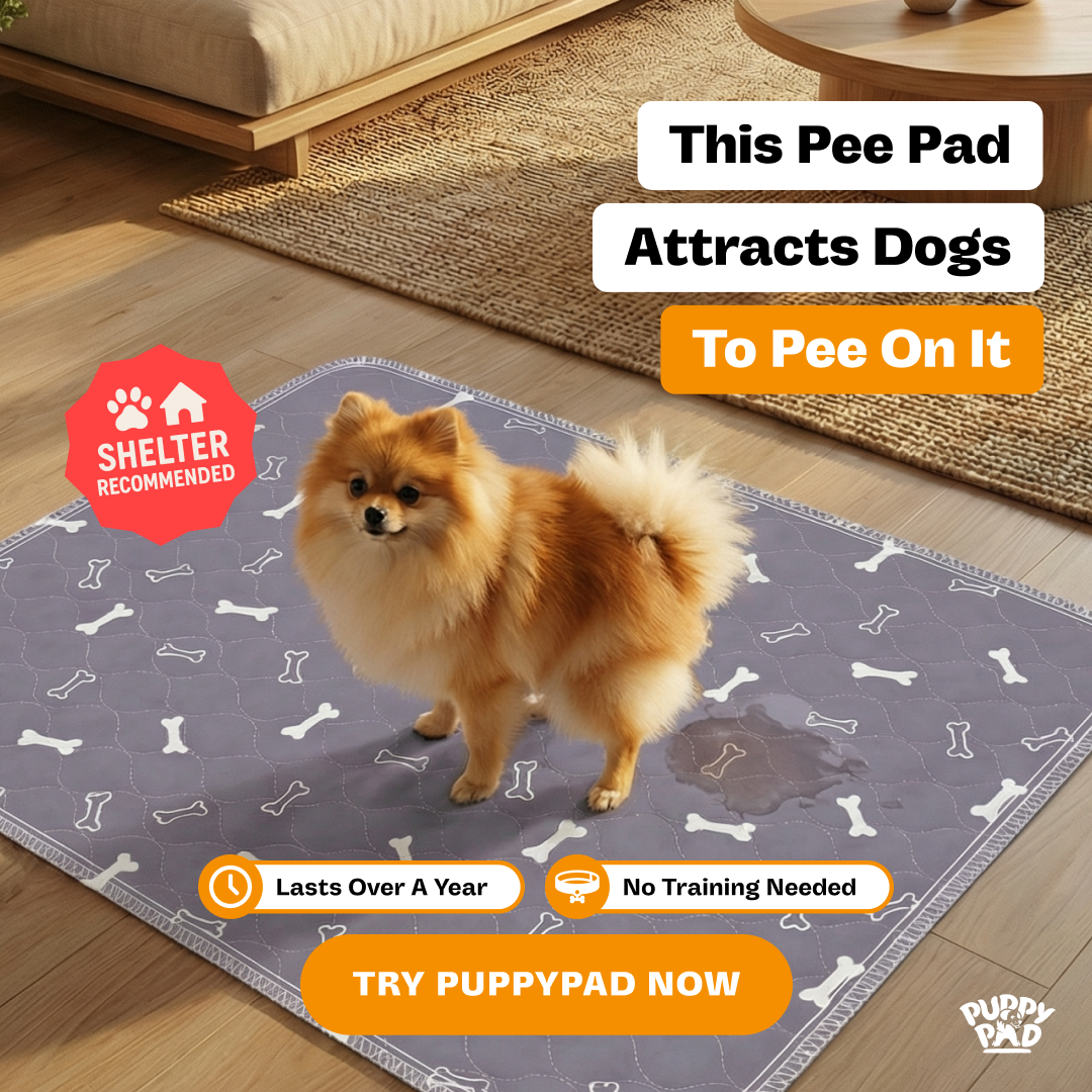 PuppyPad Facebook ad