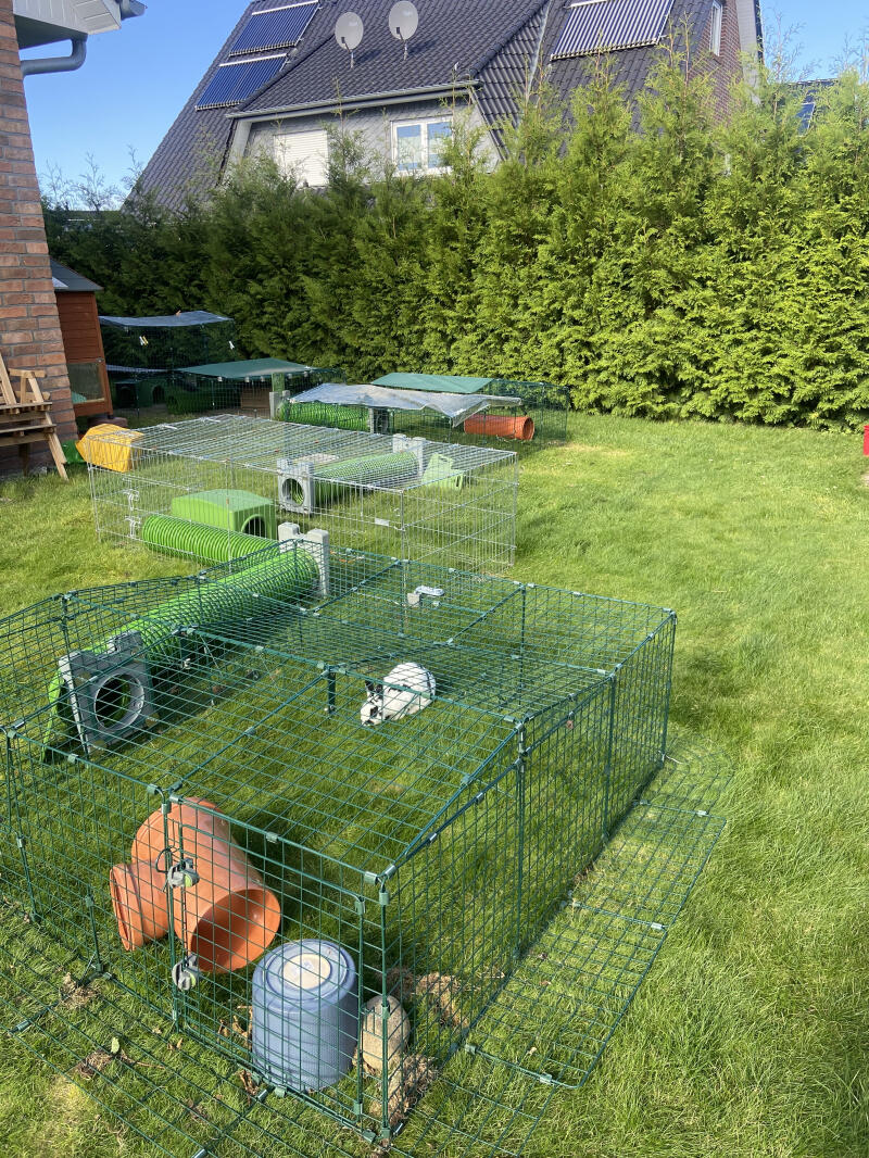 Omlet - Les produits pour vos animaux Facebook ad