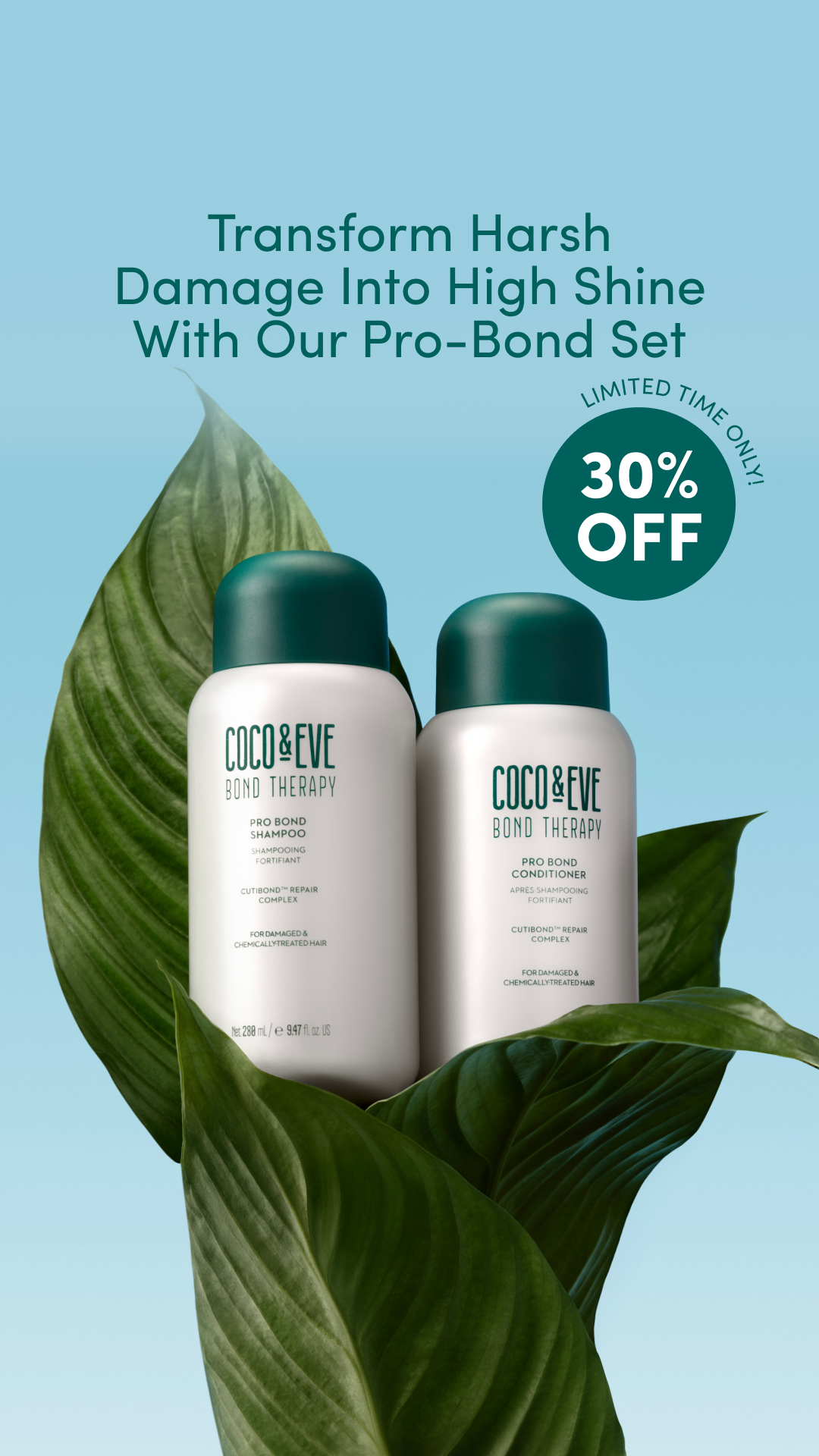 Coco & Eve Facebook ad