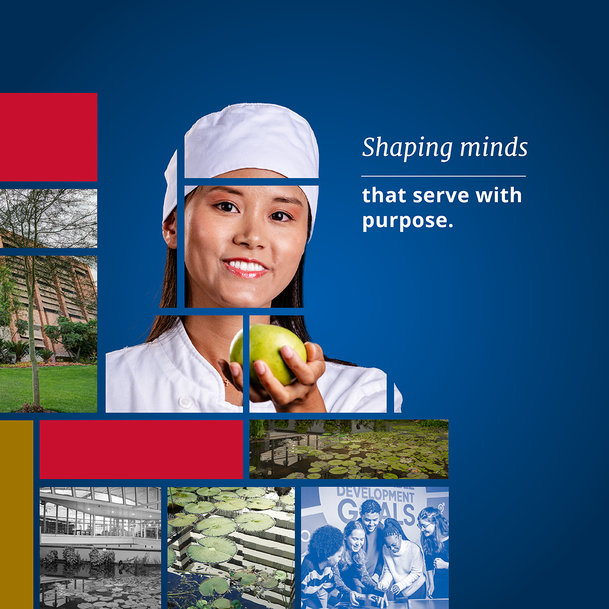 University of Pretoria Facebook ad: At the University of Pretoria, our research serves…