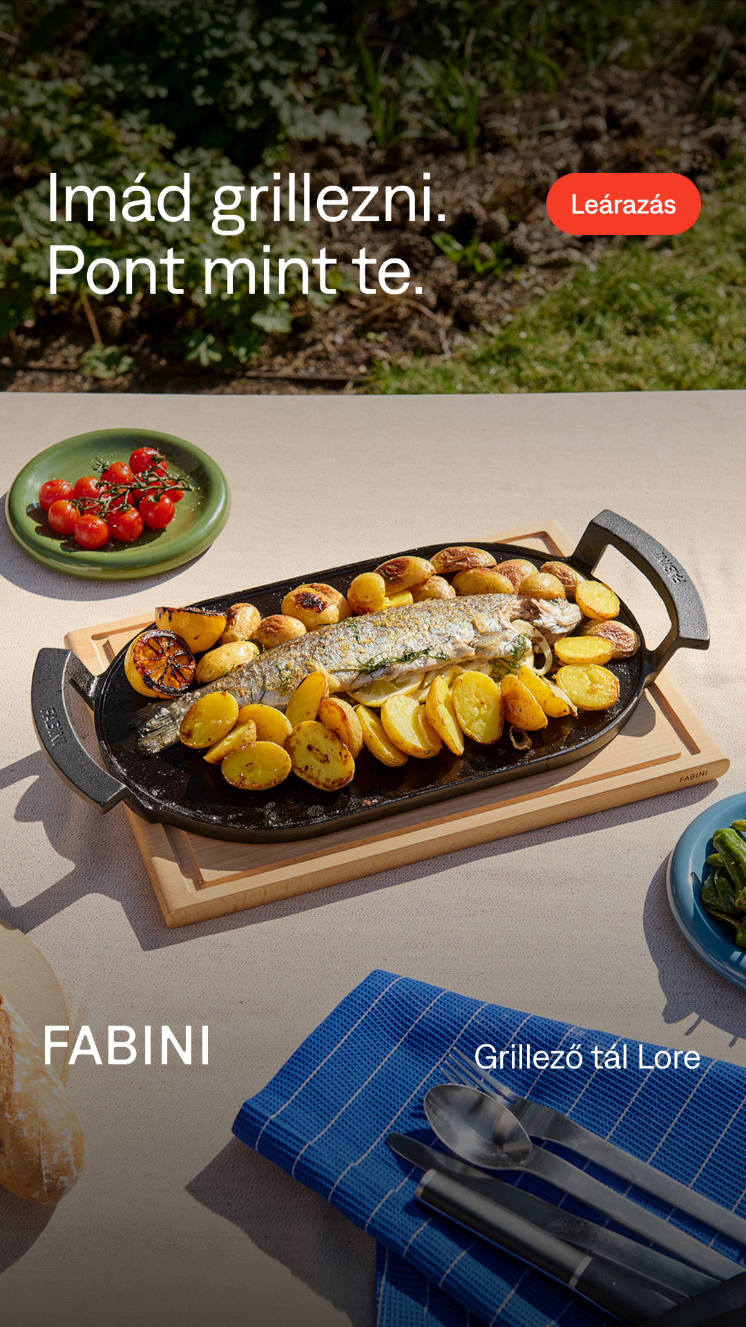 FABINI HU Facebook ad