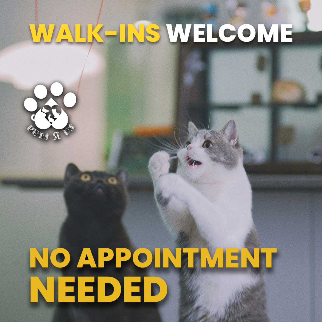 Pets R Us - Commerce City Facebook ad