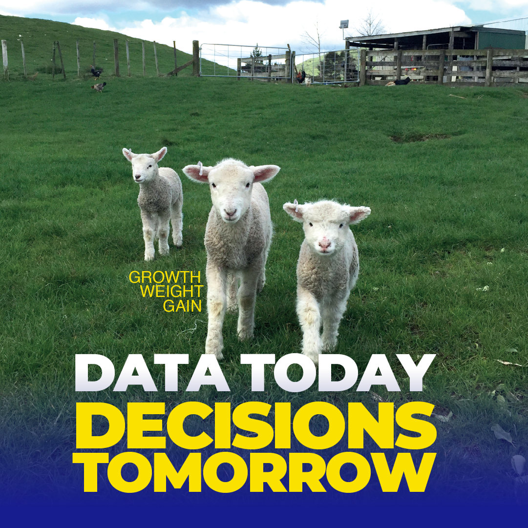 Datamars Livestock AU Facebook ad: Years on