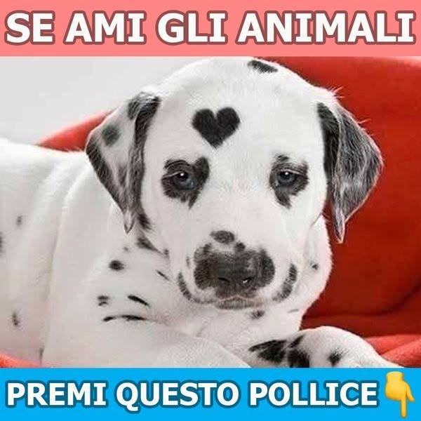 Storie di Vita Facebook ad