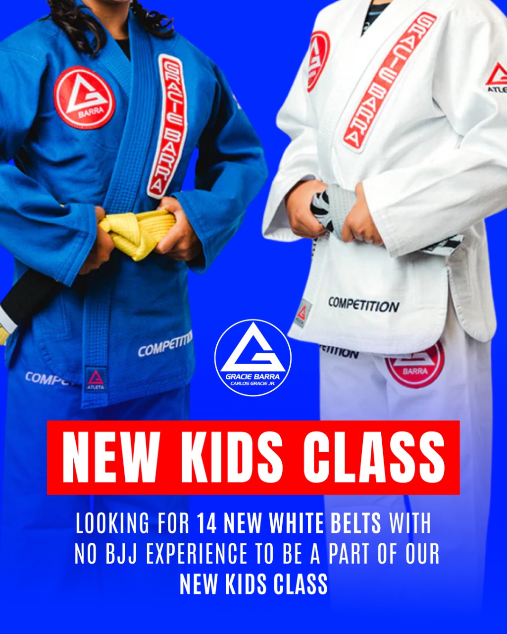 Gracie Barra Libertyville Brazilian Jiu Jitsu Classes Facebook ad