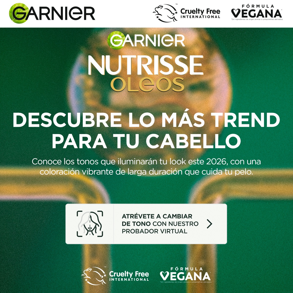Garnier Facebook ad