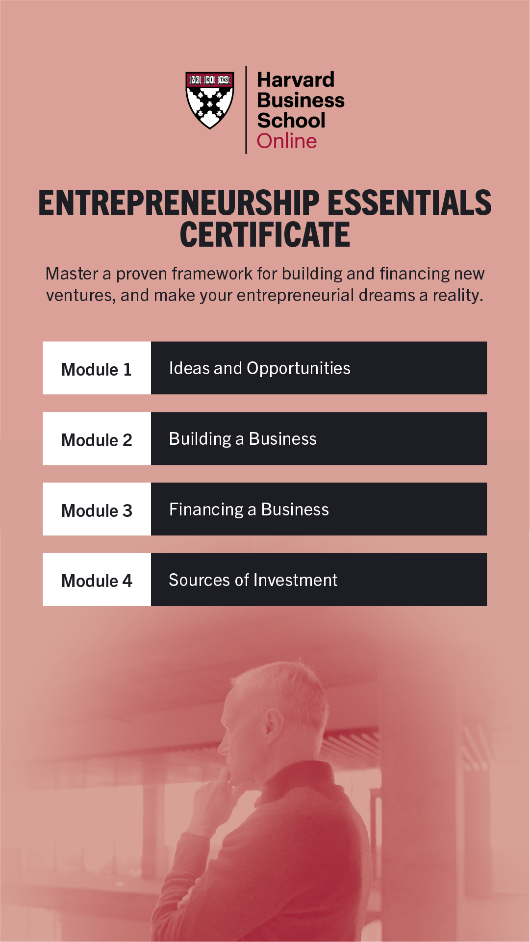 Harvard Business School Online Facebook ad