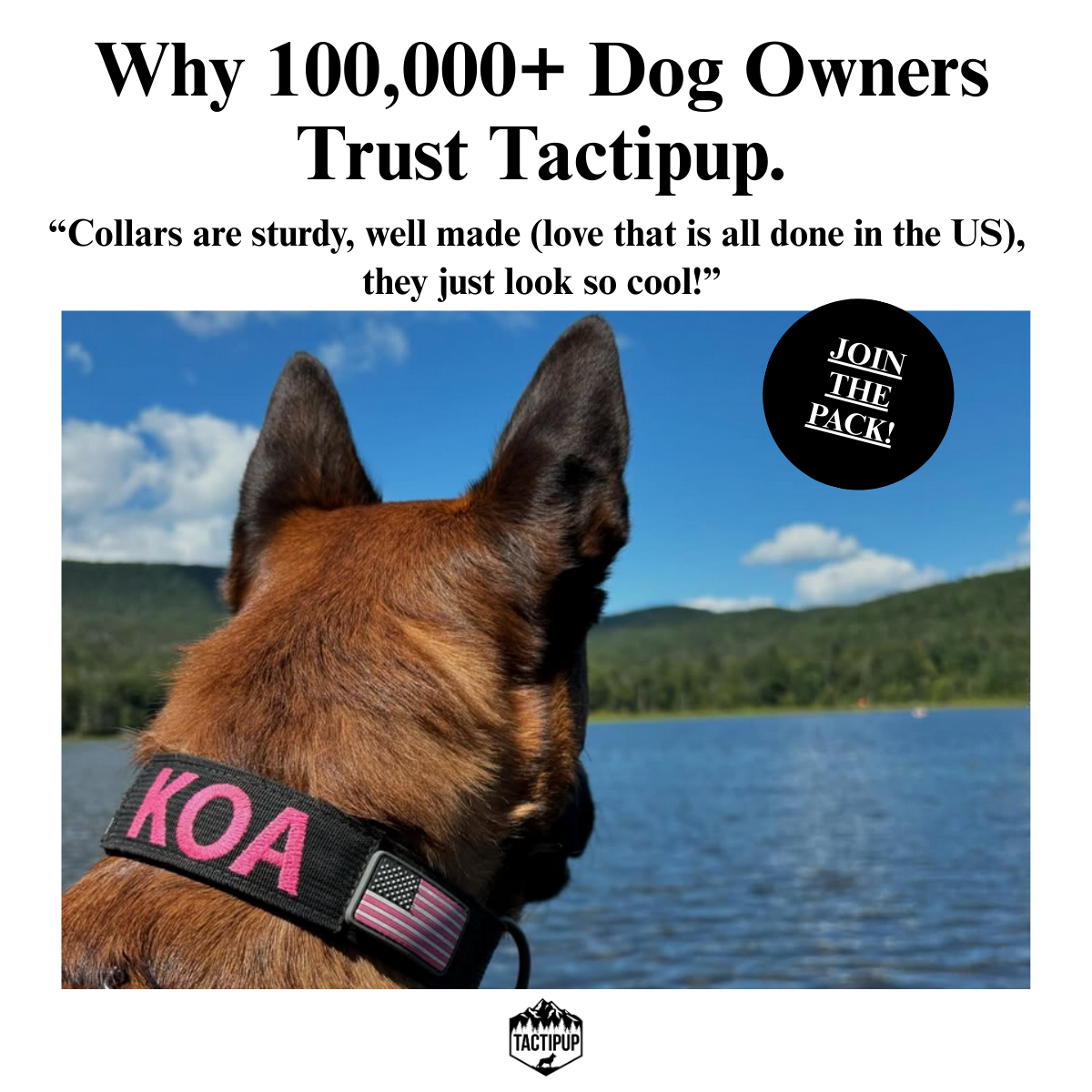 Tactipup Facebook ad