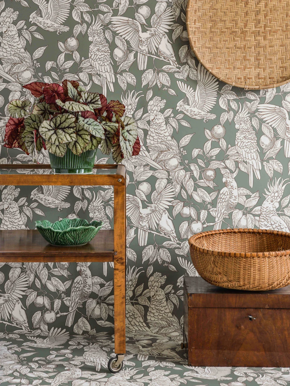 Natty & Polly Wallpaper Facebook ad: Textured wallpaper, botanical prints, grasscloth, art deco…