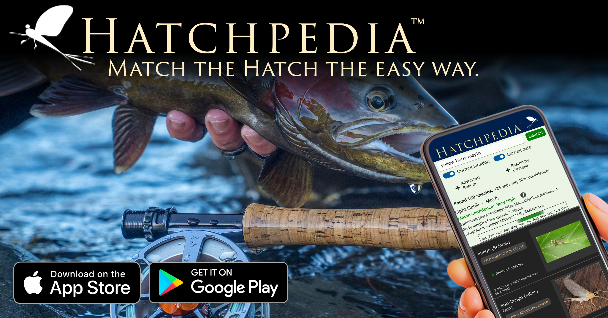 Hatchpedia Facebook ad from Feb 26, 2024