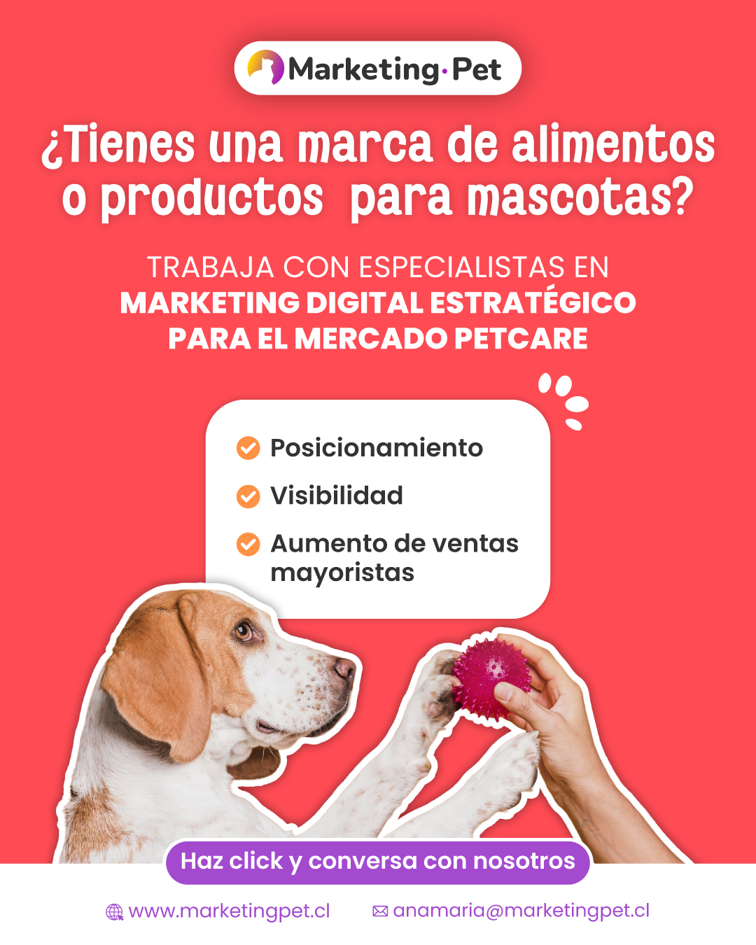 Marketing Pet Facebook ad: Conócenos hoy