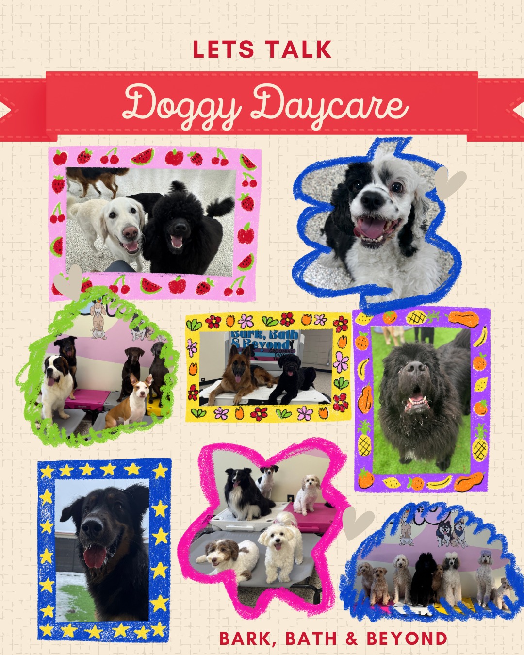 Bark, Bath & Beyond Grooming Facebook ad: Doggy Daycare Evaluation - Bark, Bath & Beyond