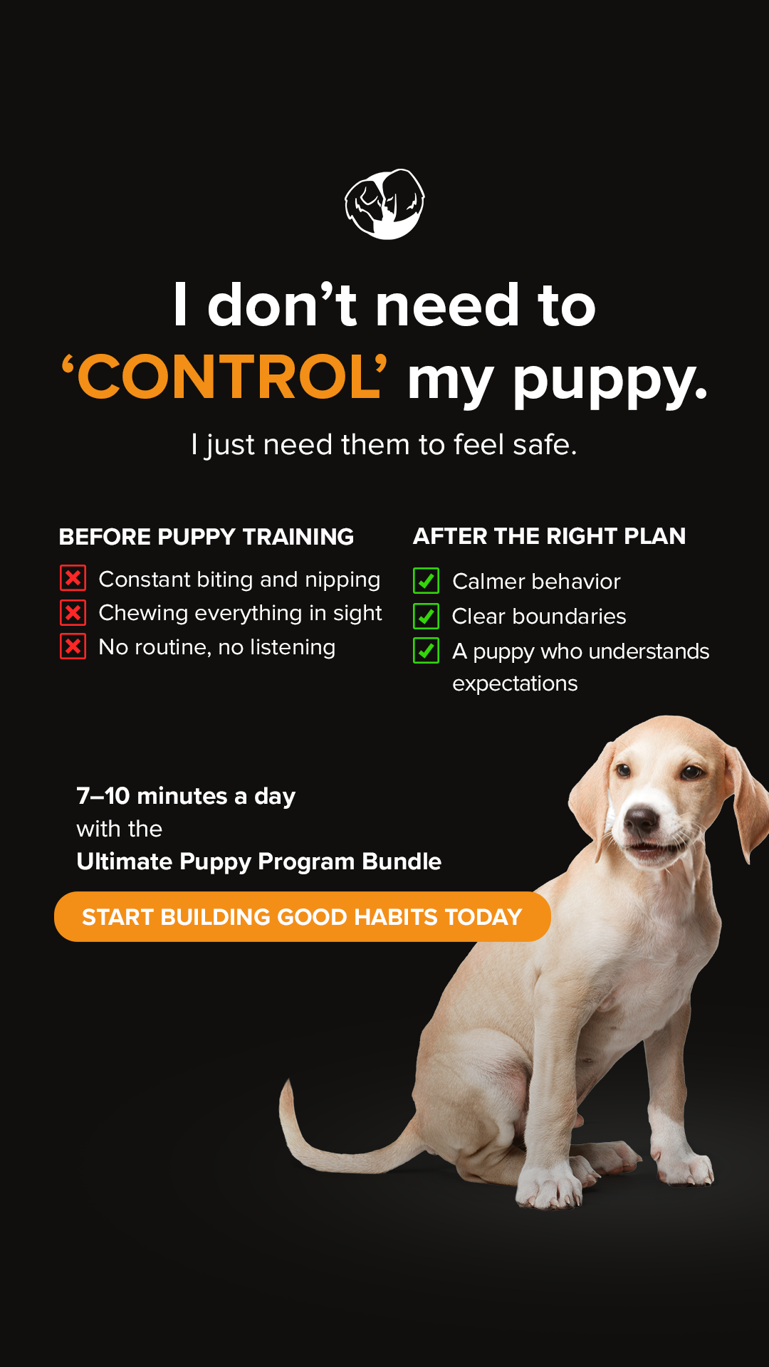 SpiritDog Training Facebook ad