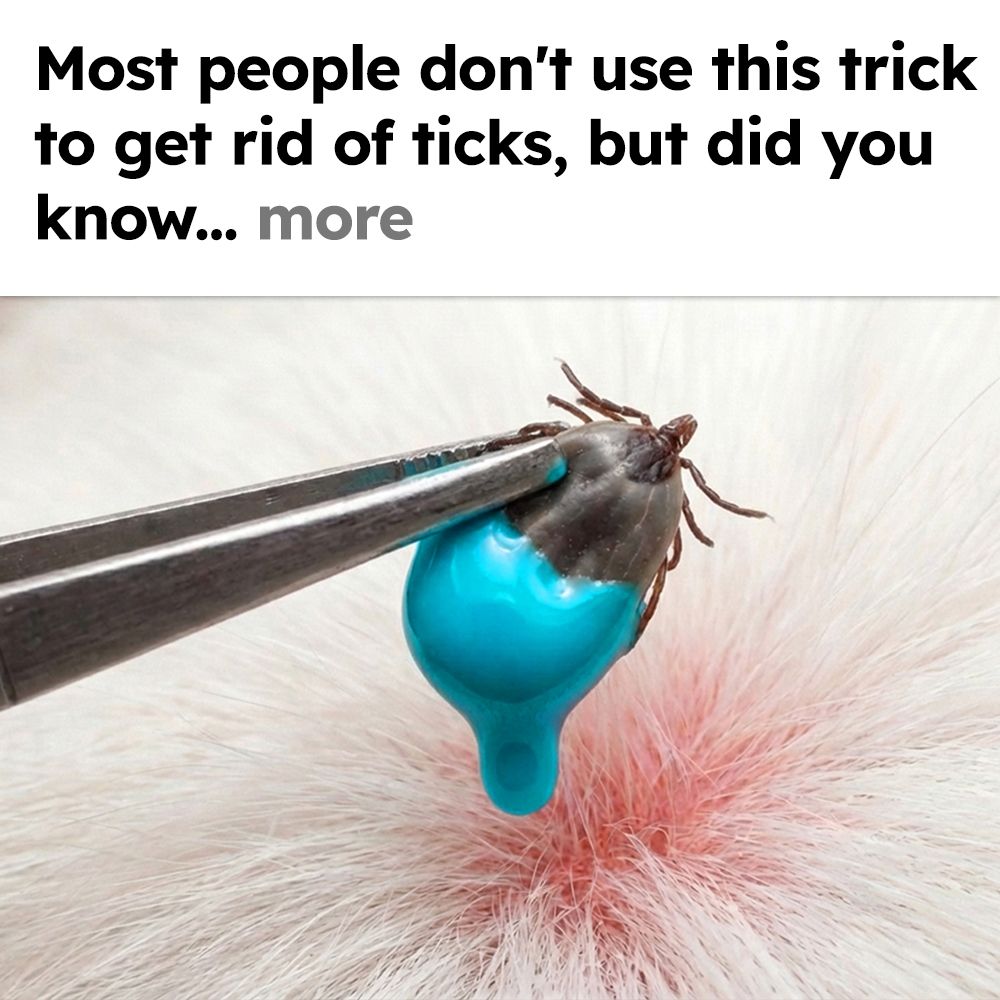 The Tickless Dog Facebook ad