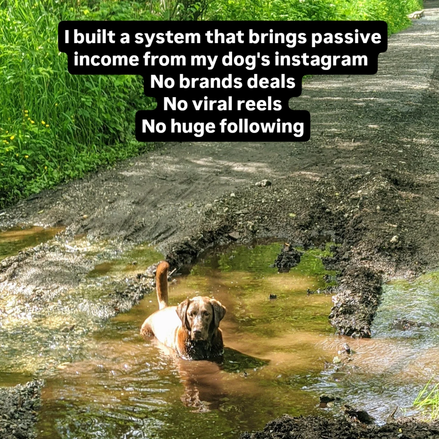 callie_girl_lifestory Facebook ad from May 22, 2026