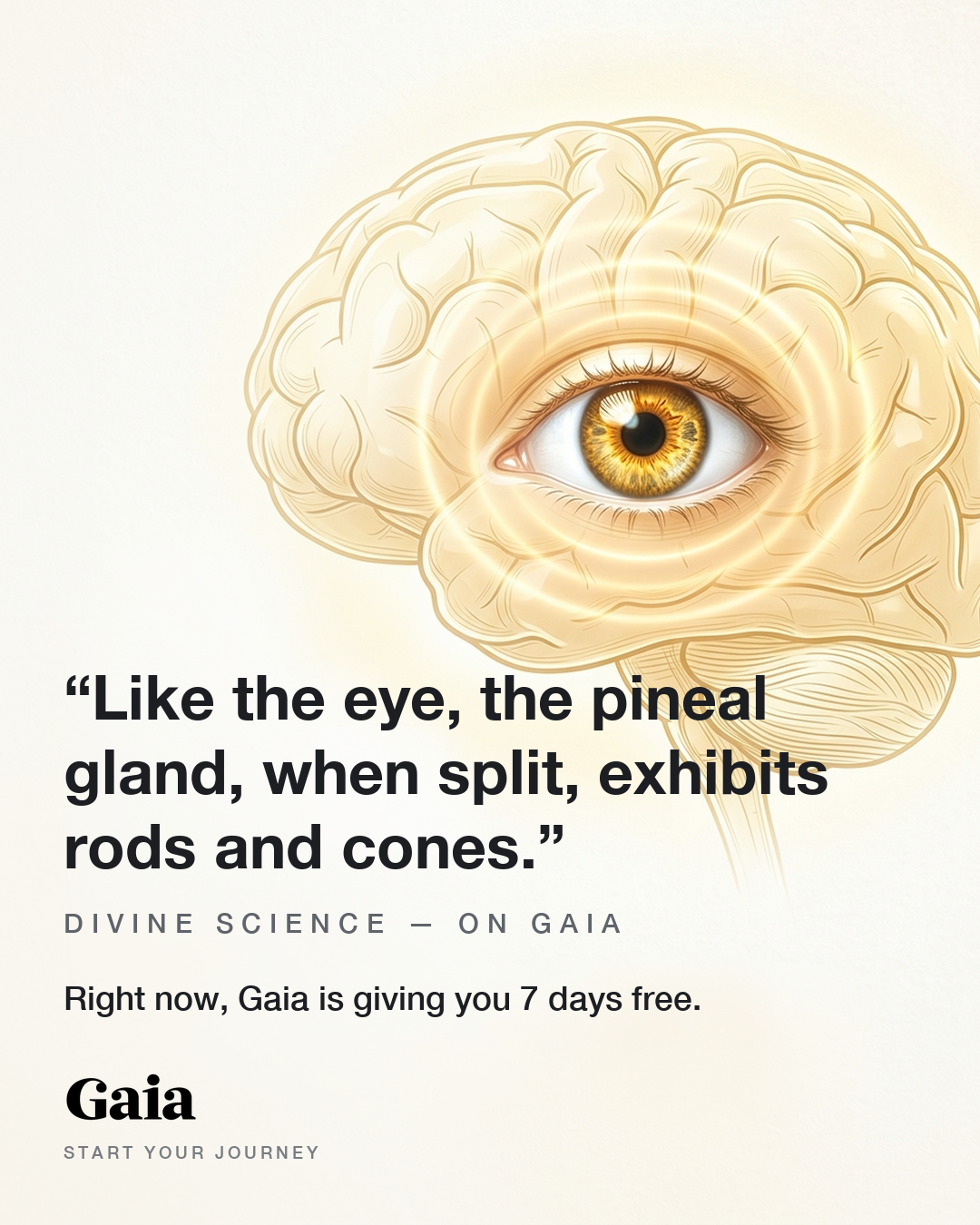 Gaia Facebook ad
