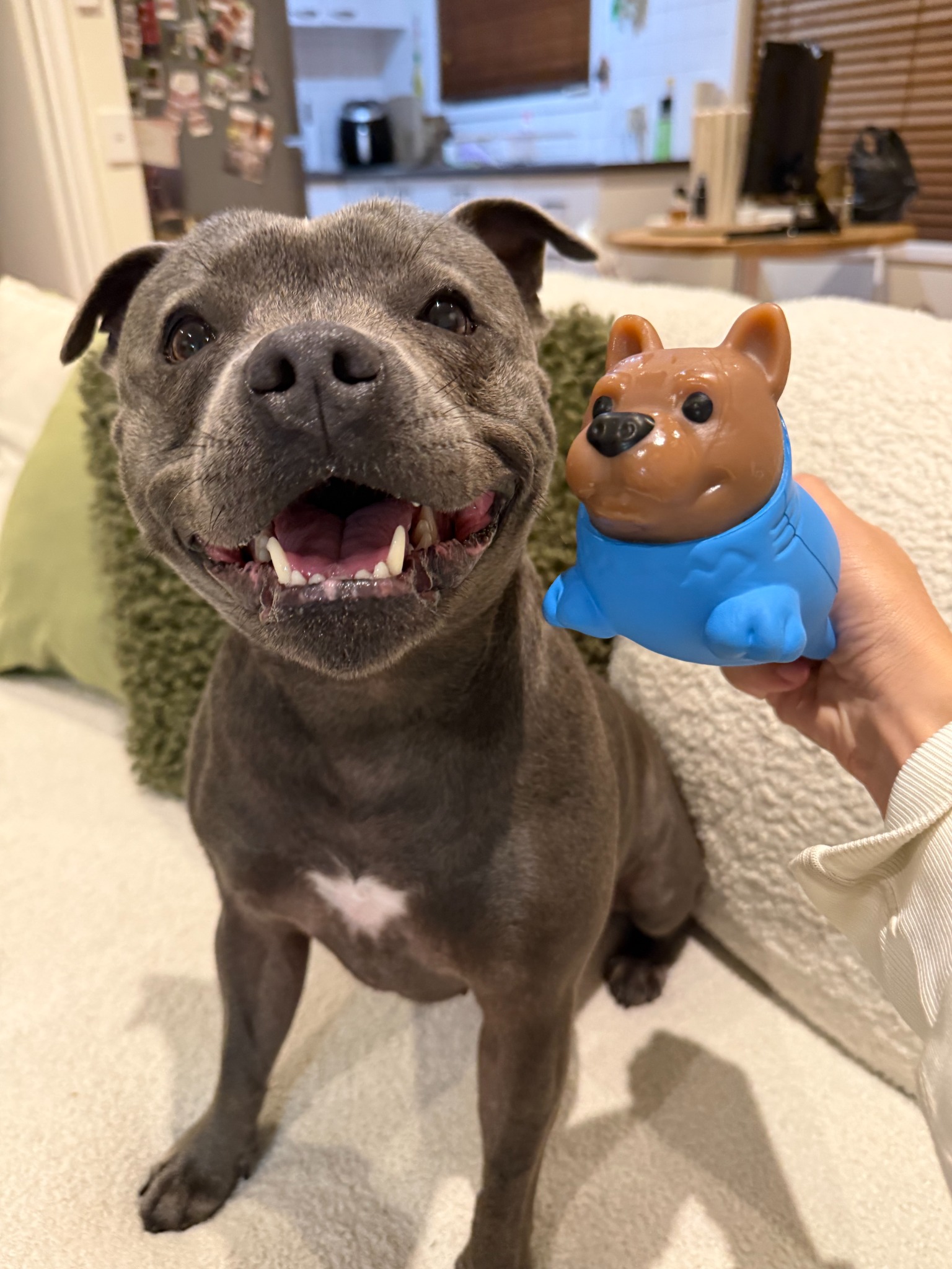 Happy Staffy Co. Facebook ad