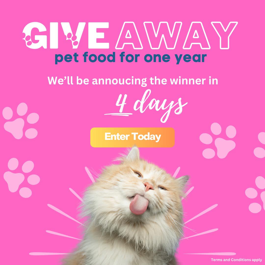 Secret Life of Pets Facebook ad