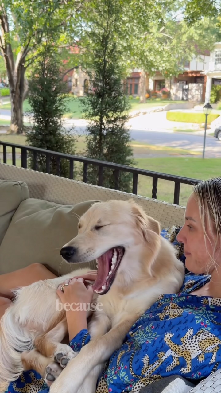 Sundays Facebook ad: If your dog also deserves to level up…