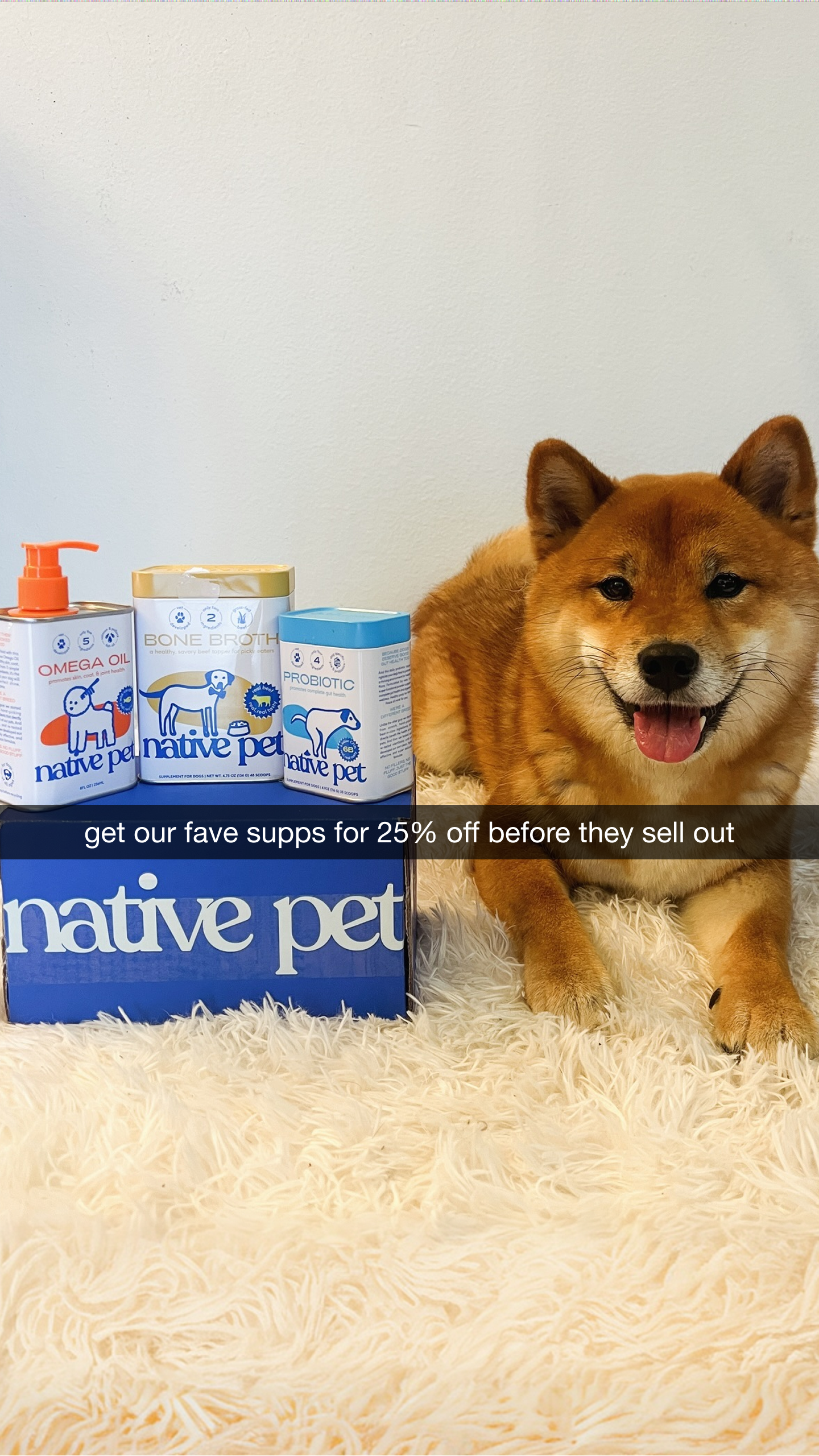 Native Pet Facebook ad