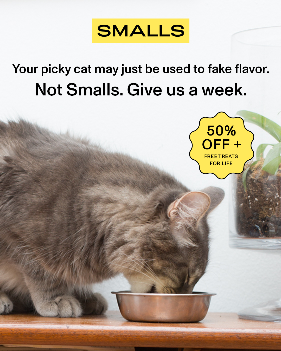 Smalls Facebook ad